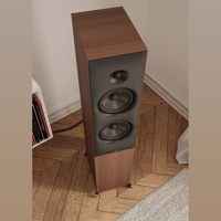 Revival Audio SPRINT 4 variant 2