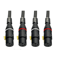 Tara Labs RSC® Air Forté variant 1