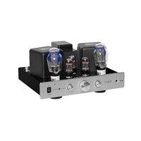 Cary Audio CAD-300SEI Integrated Amplifier variant 3