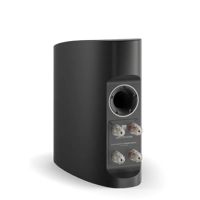 Dali EPICON 2 variant 4