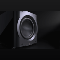 Perlisten D12s variant 6