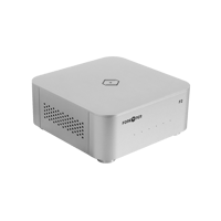 Silent Angel Forester F2 variant 2