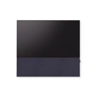 Canvas CANVAS front 55 variant 13