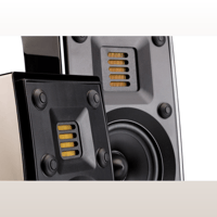 MartinLogan Motion AFX variant 6