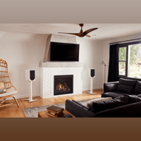 PS Audio Aspen FR5 Loudspeaker variant 2