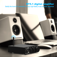 FX Audio FX502EL Bluetooth Digital Amplifier variant 3