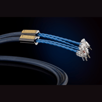 Siltech Cables Royal Single Crown Speak variant 3
