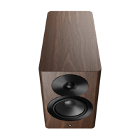 Dynaudio Focus 10 variant 14