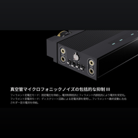 Oriolus Luxury&Precision EA4 variant 9