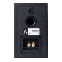 Argon Audio SA1 MK2 + FORUS 4 variant 9