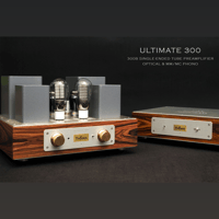 ThivanLabs ULTIMATE 300 – 300B Single-Ended Tube Preamplifier Optical & MM-MC Phono variant 9