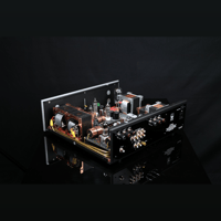 SW1x AMP I “Genie” Integrated Amplifier variant 16