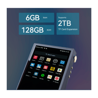 Cayin N6iii T201 variant 17