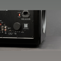 MartinLogan Abyss 8 variant 29