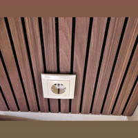 Vicoustic VicStrip variant 13