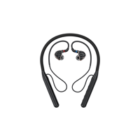 FiiO LC-BT2 variant 4