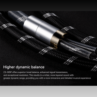 Cayin CS-30SP variant 7