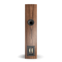 Dali RUBICON 5 variant 2