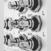 MBL - USA MBL C11 variant 5