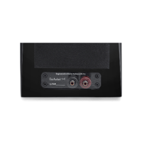 Audience 1+1 variant 4