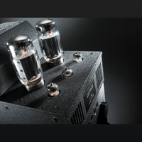 Octave Audio V 16 Single Ended variant 7