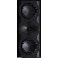 Perlisten R5m variant 3