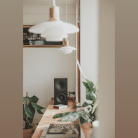 Buchardt Audio A200 variant 7