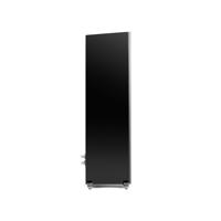 MartinLogan Motion F20 variant 12