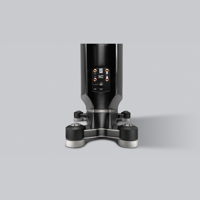 Borresen Acoustics Børresen M2 variant 4