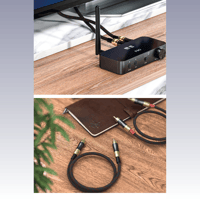 FiiO Dual RCA Analog Audio Adapter variant 11