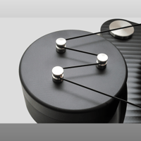 TW-Acustic Raven AC variant 7