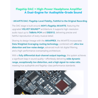 Cayin N6iii T201 variant 9