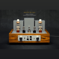 ThivanLabs MAGPIE 811 H&S variant 2