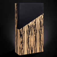 Davis Acoustics The Wall variant 4