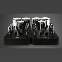 ayon audio Ayon Triton Evo Mono variant 2