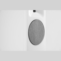 MartinLogan Motion XT F100 variant 41