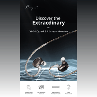 Cayin YB04 variant 1