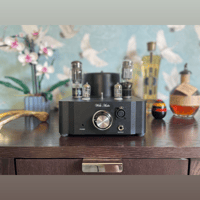 Wells Audio V8 variant 1