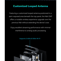 Cayin N6iii T201 variant 20