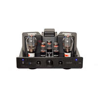 Cary Audio CAD-300SEI Integrated Amplifier variant 5