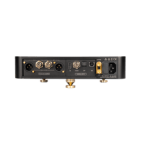 laiv audio Harmony DAC variant 3