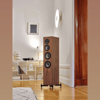 Revival Audio ATALANTE 4 variant 5