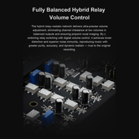 Topping DX9 Discrete variant 8