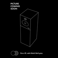 Guru Audio Guru 42 variant 1