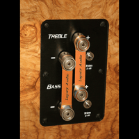 Legacy Audio Focus SE variant 5