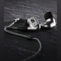 Sennheiser IE 200 Silver variant 5