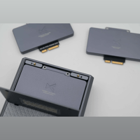 xDuoo xDuoo AKM AK4499EX DAC Card for XD05 PRO variant 2