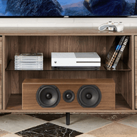 Totem Acoustic Bison Center variant 3