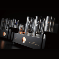 Allnic/ZL Technologies M-2500 variant 3