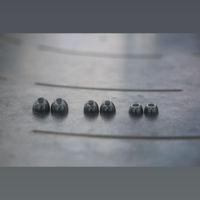 Bellos Audio Air Tips variant 2